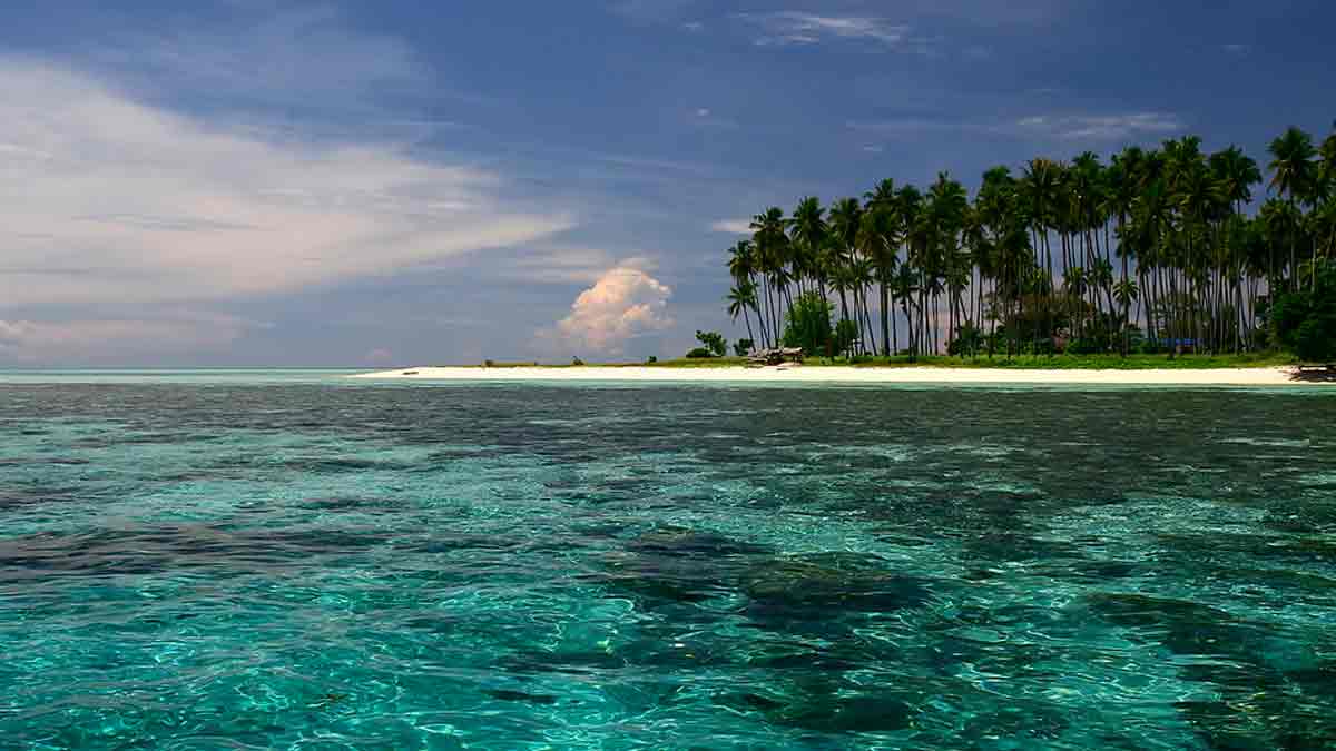 Borneo Pulau Terbesar Ketiga Dunia Amazonnya Indonesia